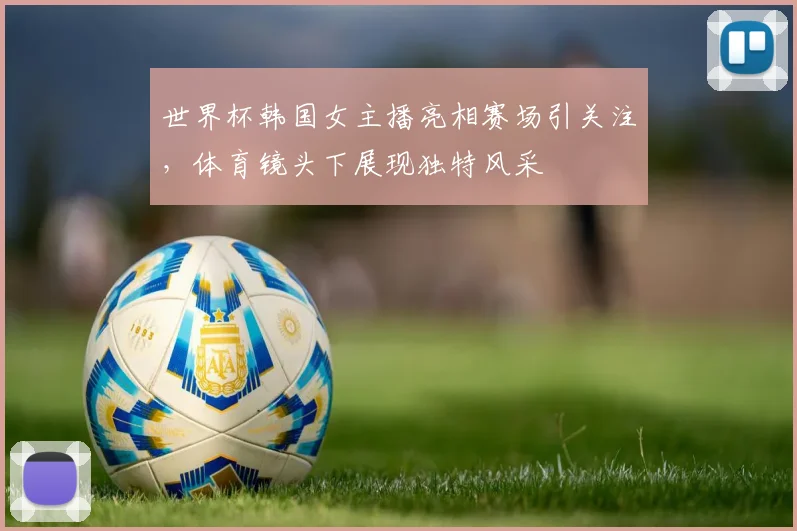 世界杯韩国女主播亮相赛场引关注，体育镜头下展现独特风采