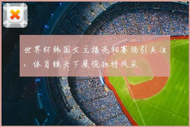 世界杯韩国女主播亮相赛场引关注，体育镜头下展现独特风采