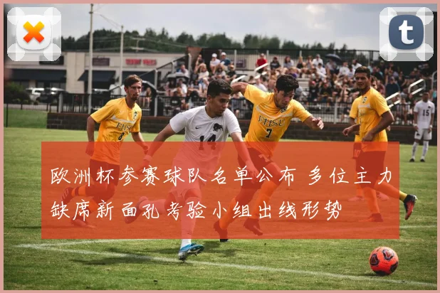 欧洲杯参赛球队名单公布 多位主力缺席新面孔考验小组出线形势